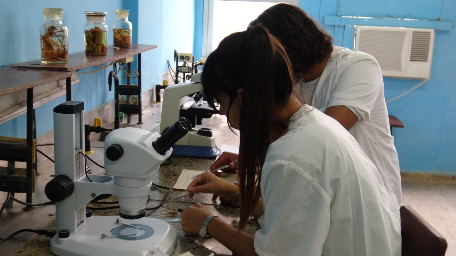 Estudiantes realizando experimento en un laboratorio