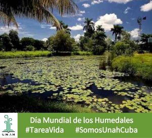 Día Mundial de los Humedales Día Mundial de los Humedales