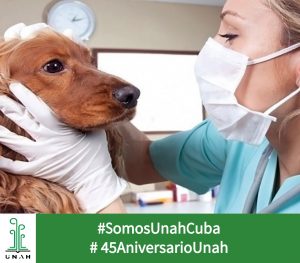 Día del Trabajador de la Medicina Veterinaria en Cuba