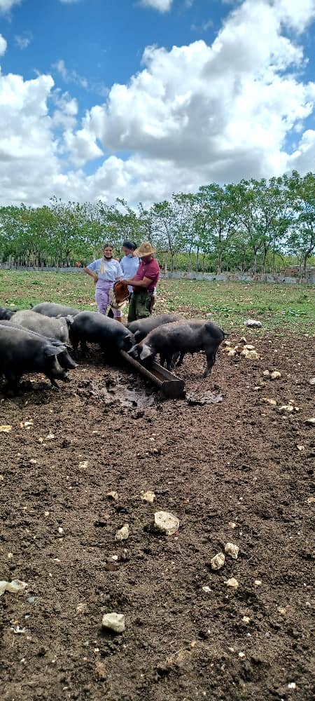 "Con los pies en la tierra"
